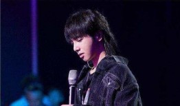 吃瓜娱乐圈华晨宇,瓜田里的音乐奇才